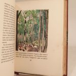 Couverture du livre Estimation du livre « clairière. Bois de Falké. »