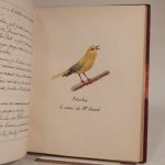 Couverture du livre Estimation du livre « a Tale of Two Robins / Histoire de deux rouges-gorges »