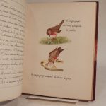 Couverture du livre Estimation du livre « a Tale of Two Robins / Histoire de deux rouges-gorges »
