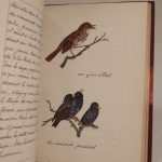 Couverture du livre Estimation du livre « a Tale of Two Robins / Histoire de deux rouges-gorges »