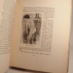 Couverture du livre Estimation du livre « paul Gauguin, sa vie et le sens de son oeuvre. »