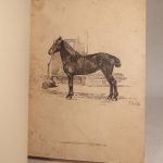 Couverture du livre Estimation du livre « les Races chevalines, avec une étude spéciale sur les chevaux russes. »