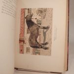 Couverture du livre Estimation du livre « les Races chevalines, avec une étude spéciale sur les chevaux russes. »