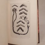 Couverture du livre Estimation du livre « antiquité de la région andine, de la République argentine et du désert d’Atacama. Mission scientifique G. de Créqui Monfort et E. Sénéchal de la Grange. »