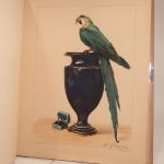 Couverture du livre Estimation du livre « premières études de peinture à l’huile : le mélange des couleurs enseigné par l’exemple. »