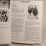 Couverture du livre Estimation du livre « espèces fruitières d’amérique tropicale »