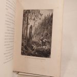Couverture du livre Estimation du livre « le Chevalier noir, traduit par May Lafon. Illustré de 20 belles gravures dessinées par Gustave Doré. »