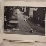 Couverture du livre Estimation du livre « les Allemands »