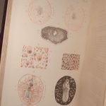 Couverture du livre Estimation du livre « recherches sur la production artificielle des monstruosités ou Essais de tératogénie expérimentale. »