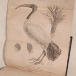 Couverture du livre Estimation du livre « discours sur les Révolutions de la surface du Globe, et sur les changements qu’elles ont produits dans le règne animal. Sixième édition française, revue et augmentée. »