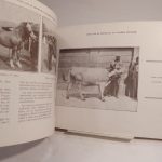 Couverture du livre Estimation du livre « livre d’Or du Centenaire de l’Algérie française. L’Algérie – Son Histoire – L’Oeuvre française d’un Siècle – Les Manifestations du Centenaire. »