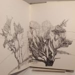 Couverture du livre Estimation du livre « une Histoire d’amour de Jean Giono. Illustrations Colette Millet. »