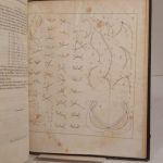 Couverture du livre Estimation du livre « theorie der algebraischen Curven gegründet auf eine Behandlungsweise der analytischen Geometrie. Von Dr. Julius Plücker. Mit einer Tafel. »