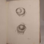 Couverture du livre Estimation du livre « traité des maladies des yeux, avec des planches coloriées représentant ces maladies d’après nature. Tome quatrième, contenant les planches qui représentent les Maladies des yeux, avec leurs explications, et la traduction de l’ouvrage de Samuel Thomas Soemmerring, intitulé : Icones oculi humani. »