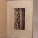 Couverture du livre Estimation du livre « les Ruines de Sanxay, découvertes en 1882. Cinq photogravures. Dessins de Lancelot, d’après les photographies de Pierre Petit. »