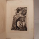 Couverture du livre Estimation du livre « les Ruines de Sanxay, découvertes en 1882. Cinq photogravures. Dessins de Lancelot, d’après les photographies de Pierre Petit. »