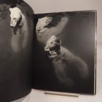 Couverture du livre Estimation du livre « des Bêtes… photographiées par Ylla. Texte de Jacques Prévert. »