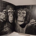 Couverture du livre Estimation du livre « des Bêtes… photographiées par Ylla. Texte de Jacques Prévert. »