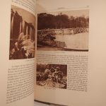 Couverture du livre Estimation du livre « versailles – Les Trianons – Saint-Cyr »