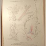 Couverture du livre Estimation du livre « iconographie pathologique de l’oeuf humain fécondé. En rapport avec l’étiologie de l’avortement »