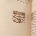 Couverture du livre Estimation du livre « belle-plante et Cornelius »
