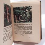 Couverture du livre Estimation du livre « au Coeur frais de la forêt »