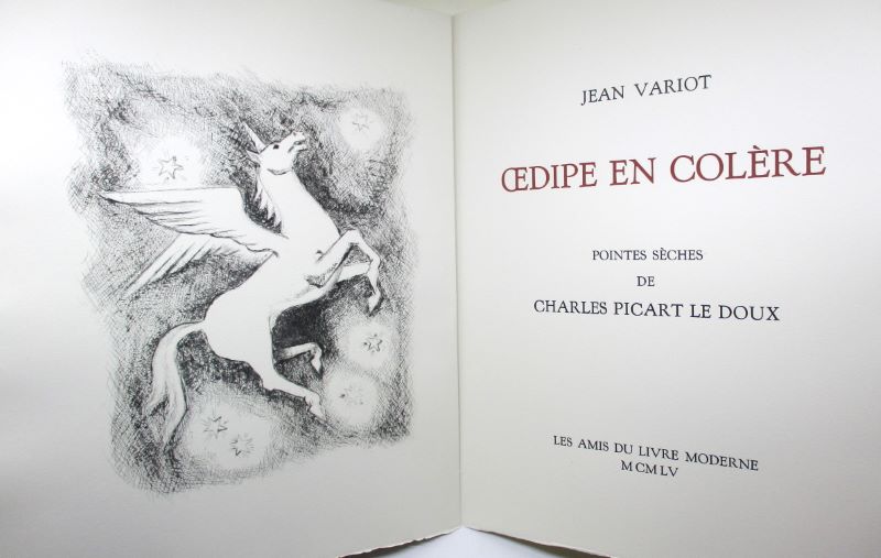 Couverture du livre Estimation du livre « oEdipe en colère »