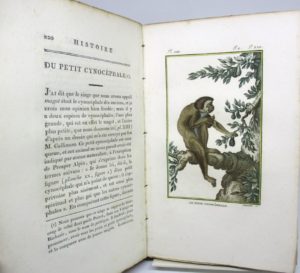 Estimation Encyclopédies - Couverture du livre Estimation du livre « histoire naturelle des singes, faisant partie de celle des quadrupèdes de Buffon. Présentée sous un ordre, dans lequel les Supplémens sont fondus avec le premier texte ; et augmentée de Notes, d’Additions considérables, avec Figures, gravées sur des Dessins neufs de Barraband »