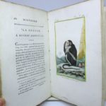 Couverture du livre Estimation du livre « histoire naturelle des singes, faisant partie de celle des quadrupèdes de Buffon. Présentée sous un ordre, dans lequel les Supplémens sont fondus avec le premier texte ; et augmentée de Notes, d’Additions considérables, avec Figures, gravées sur des Dessins neufs de Barraband »