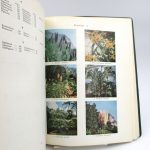 Couverture du livre Estimation du livre « essai d’acclimatation de plantes tropicales en France. Catalogue raisonné et annoté de la Station Expérimentale « La Léonina » à Beaulieu-sur-Mer (A.-M.) »