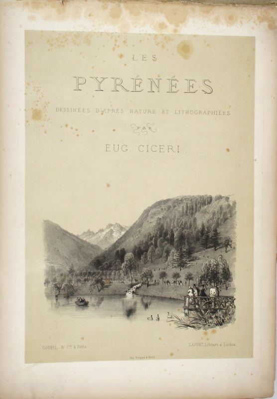 Couverture du livre Estimation du livre « les Pyrénées dessinées d’après nature et lithographiées »