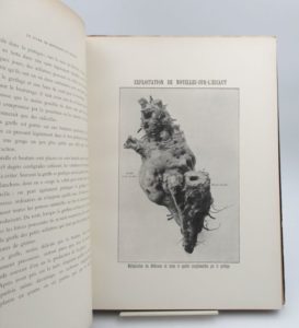 Estimation Arts de vivre – Gastronomie - Couverture du livre Estimation du livre « le Sucre de betterave en France de 1800 à 1900. Culture de la betterave – Législation – Technologie »