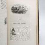 Couverture du livre Estimation du livre « voyage dans la Russie méridionale et la Crimée par la Hongrie, la Valachie et la Moldavie »