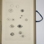 Couverture du livre Estimation du livre « histoire naturelle »