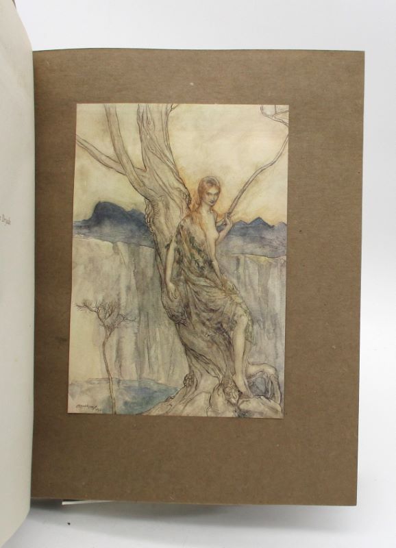 Couverture du livre Estimation du livre « l’Oeuvre de Arthur Rackham »