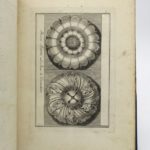 Couverture du livre Estimation du livre « raccolta d’Ornati d’Architettura »