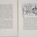 Couverture du livre Estimation du livre « dignimont »