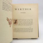 Couverture du livre Estimation du livre « werther »
