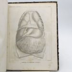 Couverture du livre Estimation du livre « traité d’anatomie descriptive. Splanchnologie planches »