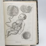 Couverture du livre Estimation du livre « traité d’anatomie descriptive. Splanchnologie planches »