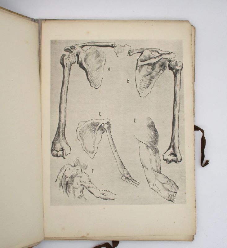 Couverture du livre Estimation du livre « l’Anatomie des maîtres »