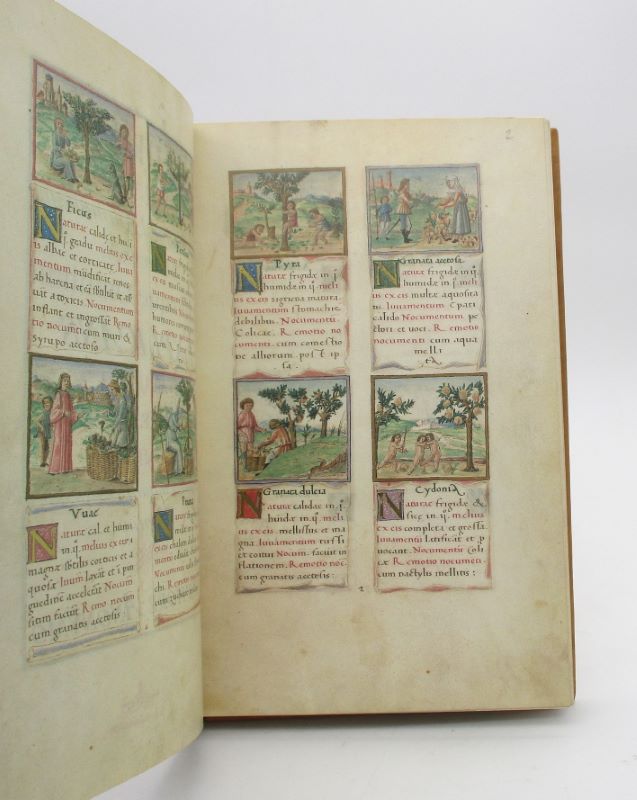 Couverture du livre Estimation du livre « enchiridion virtutum vegetabilium, animalium, mineralium rerumque omnium explicans naturam, juvamentum, nocumentum remotionemque nocumentorum eorum »