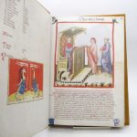 Couverture du livre Estimation du livre « tacuinum Sanitatis »