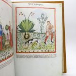 Couverture du livre Estimation du livre « tacuinum Sanitatis »