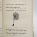 Couverture du livre Estimation du livre « histoire des éventails chez tous les peuples et à toutes les époques »