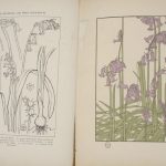 Couverture du livre Estimation du livre « decorative plant & flower studies »