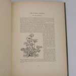 Couverture du livre Estimation du livre « decorative plant & flower studies »