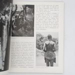 Couverture du livre Estimation du livre « minotaure »