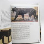 Couverture du livre Estimation du livre « paul Jouve – Peintre sculpteur animalier 1878-1973 »