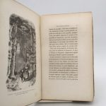 Couverture du livre Estimation du livre « scènes du jeune âge »
